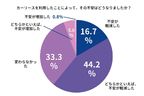 個人向けカーリースに関する利用調査：画像