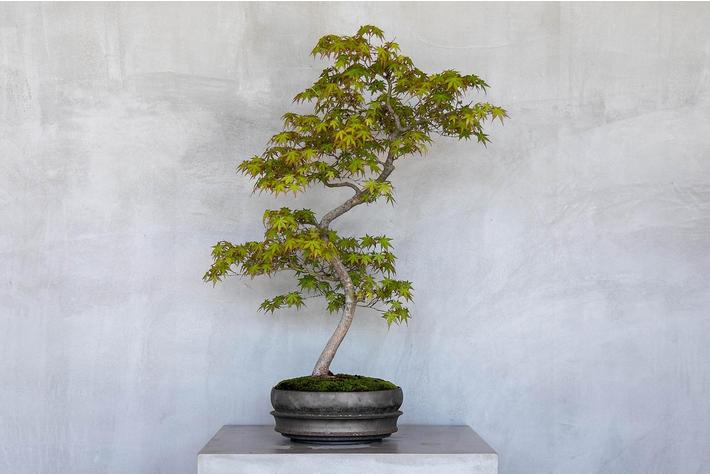 5月7日～8日、ランドローバー・ディーラー・アンバサダー就任記念