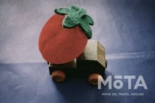 ルーフボックス