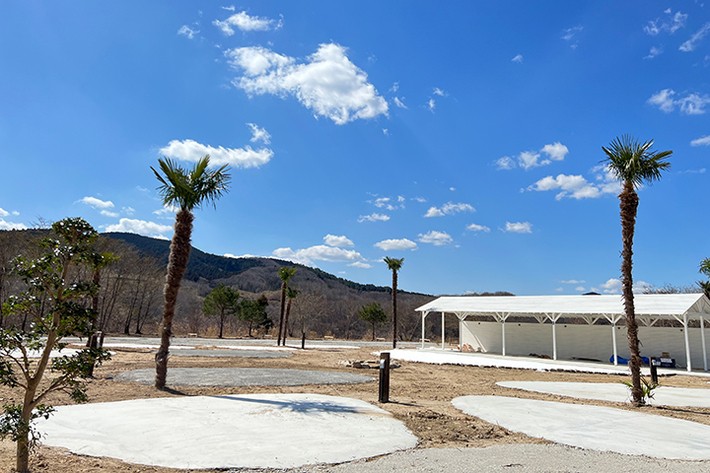 カリスマジャパン