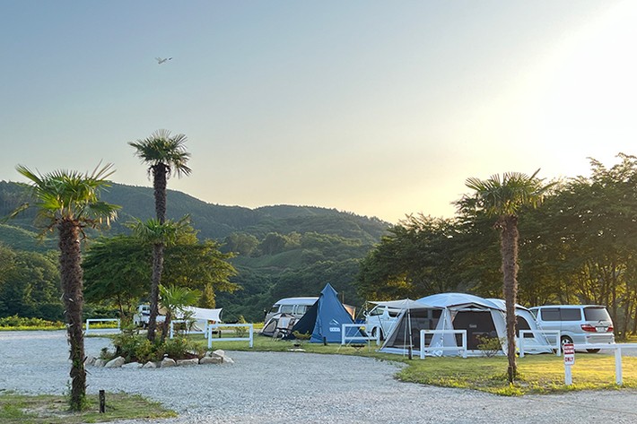 カリスマジャパン