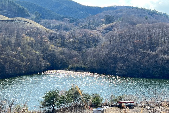 カリスマジャパン