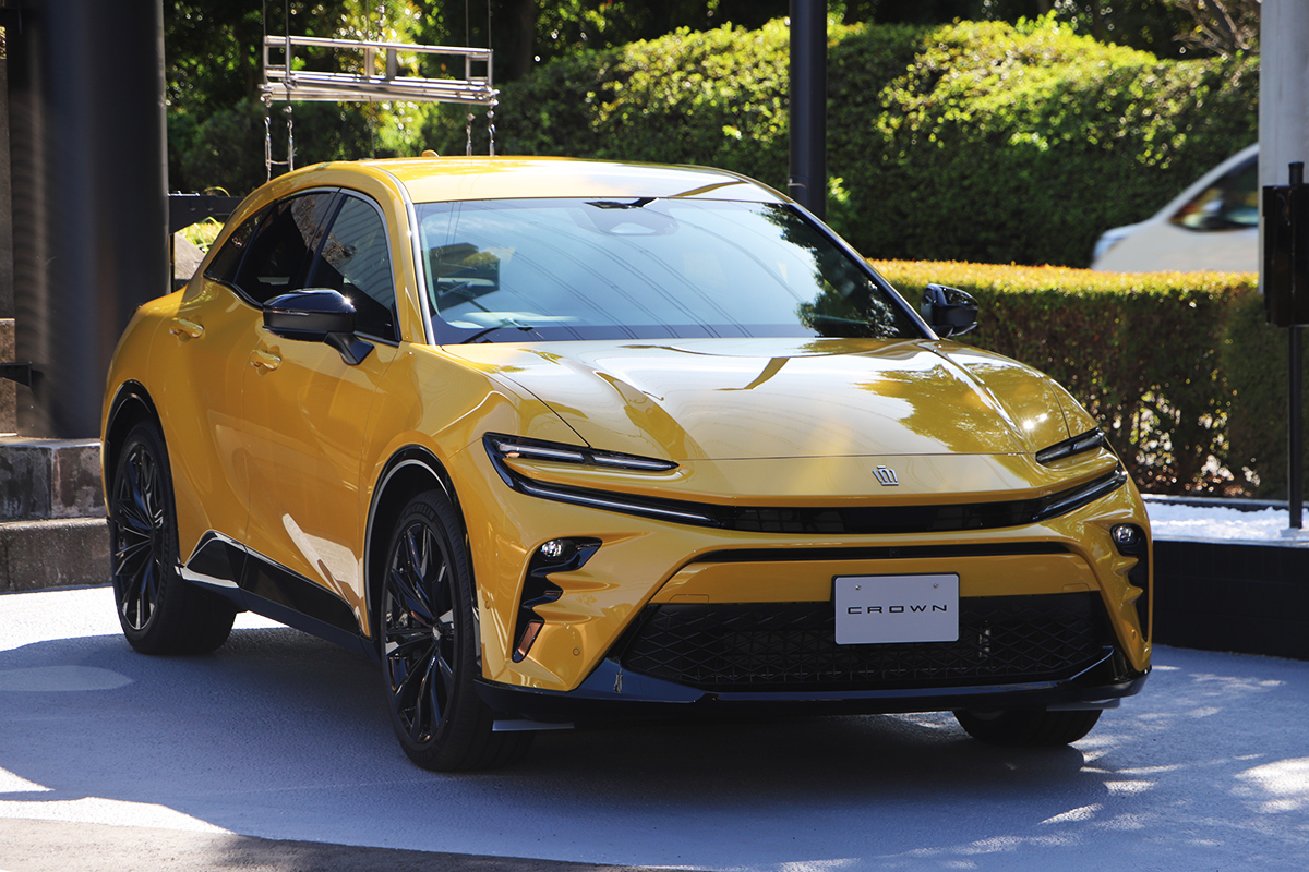 プリュイ　ホーンクラウン　正規品　新品 プリュイ pluie ホーン クラウン 正規品 プリュイ ホーンクラウン 正規