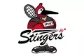 ジェイテクトStingers、バドミントンS/Jリーグで初優勝