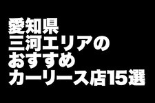 愛知県・三河エリアのおすすめカーリース店15選【2024年版】／地元密着でアフターフォローも万全の店舗がいっぱい！