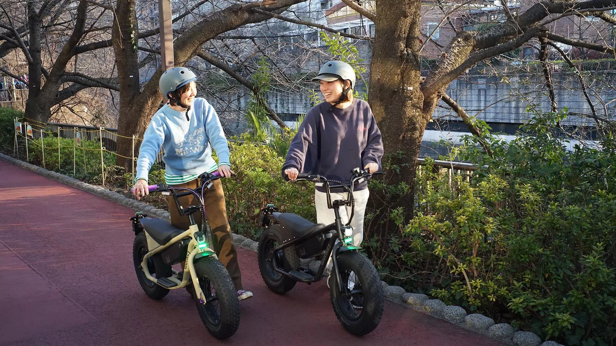 25190711369_f8d2.webp