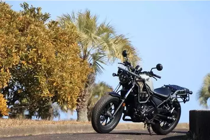 値下げ!2023年3月購入Renaultクロスバイク(キャリヤー、サイドバッグ