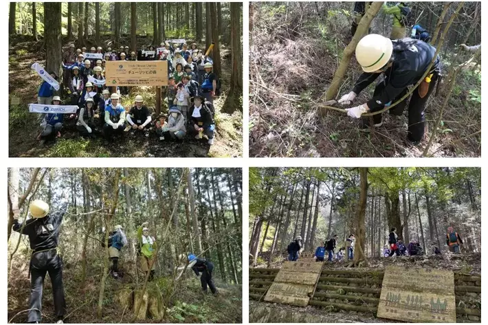 神奈川県の「チューリッヒの森」プロジェクトで社員によるボランティア活動を実施
