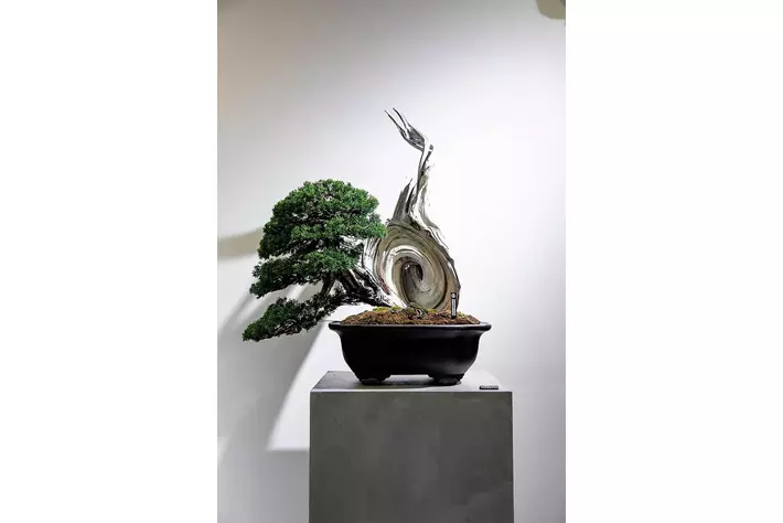 TRADMAN'S BONSAI サイドテーブル TRADMAN'S BONSAI（株式会社松葉屋） (@tradmans_matsubaya.inc