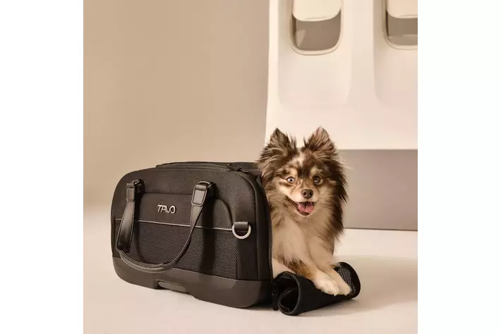 航空機内持込可能なペットキャリアが「ECE R129基準」準拠の高水準なペットカーシートに　TAVO　「Dupree」　8月26日発売