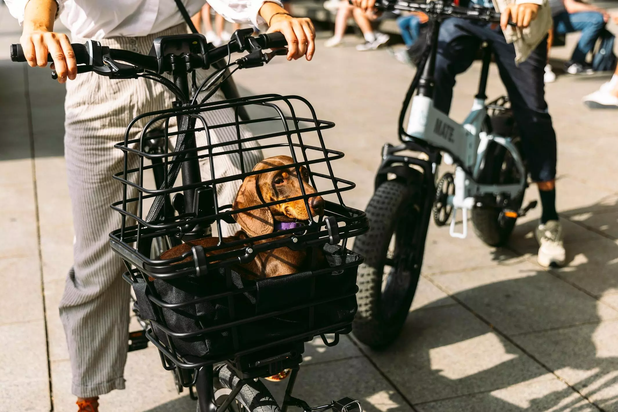 MATE.BIKE】ブランド初のフロントラックとバスケットを発売|【業界