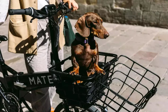 MATE.BIKE】ブランド初のフロントラックとバスケットを発売