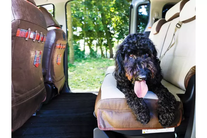 【軽自動車/コンパクトカー/ミニバンにも対応】愛犬やキッズとのお出かけにピッタリの”汚れ”や