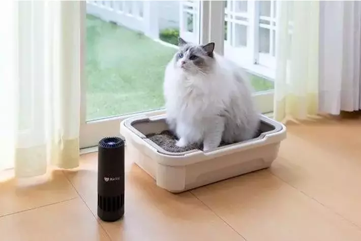 静音モード搭載！より便利に、使いやすくなった”持ち運べる空気清浄機