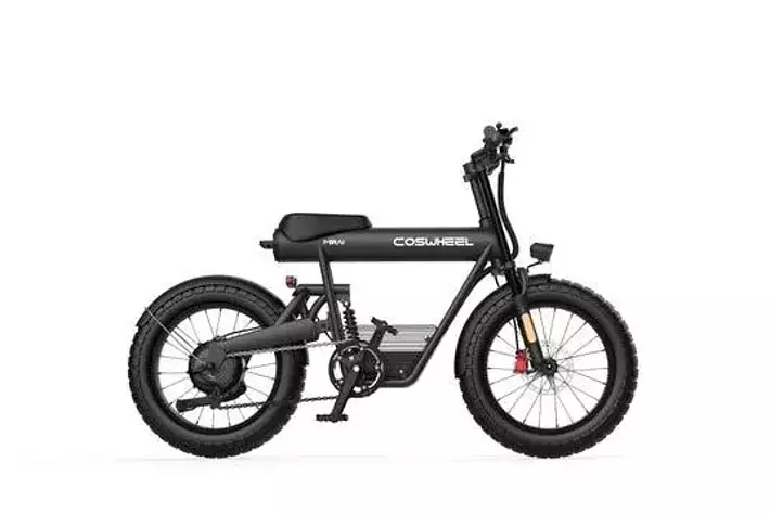 初上陸 スロットル 自動モード アシスト自転車 電動自転車