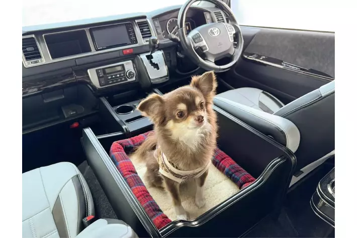 『わんちゃんとドライブを楽しむ車』にもってこい！カラーバリエーションが12月23日から増えます！！