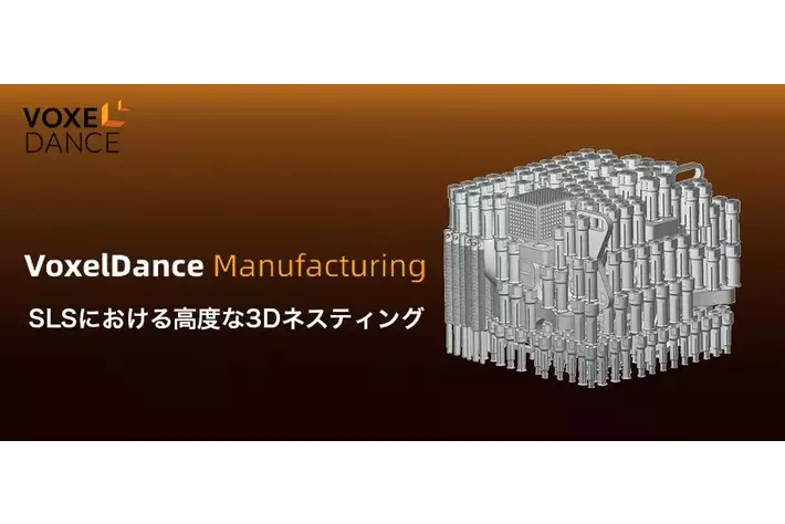 3Dネスティングによる SLS 3Dプリントの効率化と品質向上 VoxelDance