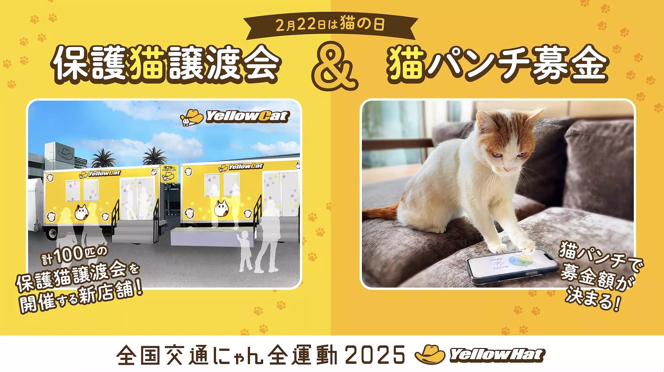 2月22日は猫の日】イエローハットが猫を交通事故から守る「全国交通