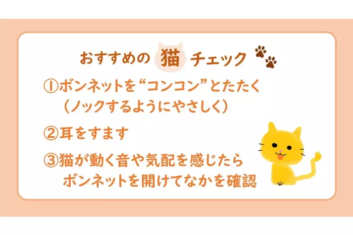 猫がクルマに入り込んでしまったトラブル１カ月で２８件！１年通して発生するトラブル、暖かくなっても引き続きご注意を！
