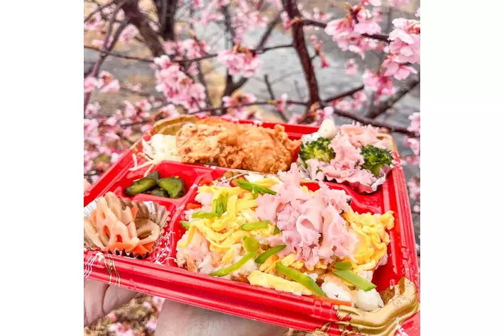 3月29日開催の『かわねさくらマルシェ』で桜色の『ホホホタケ』入り『お花見弁当』販売