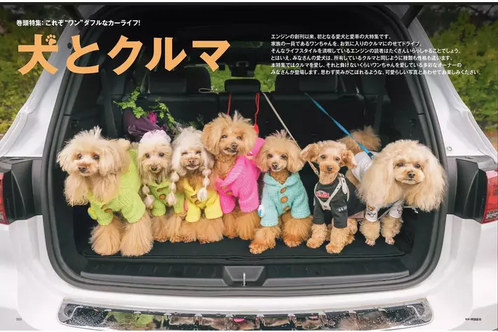 本日発売の「ENGINE」5月号では、雑誌の創刊以来、初めてとなる「犬とクルマ」を大特集。思わず笑みがこぼれるような、可愛らしい写真が満載です！