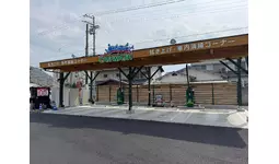 山採り　ハウチワカエデ 特大　4トン車入れない場所は不可 ヤマウチセルフ多肥に四国最大級の洗車場がオープン！|【業界先取り