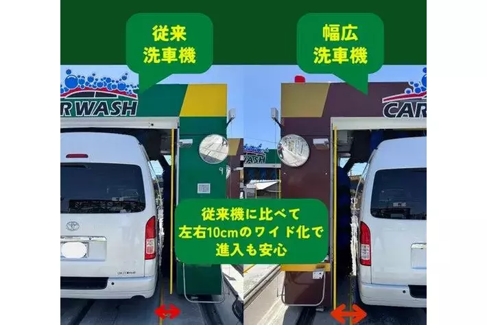 山採り　ハウチワカエデ 特大　4トン車入れない場所は不可 Did you know that large trailers are legally prohibited from