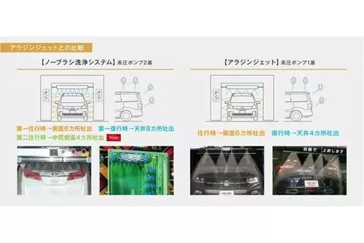 山採り　ハウチワカエデ 特大　4トン車入れない場所は不可 Did you know that large trailers are legally prohibited from