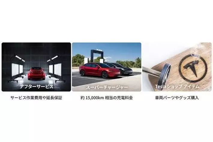 テスラ Model Y、2025年1月～7月 国内電気自動車普通車セグメント累計