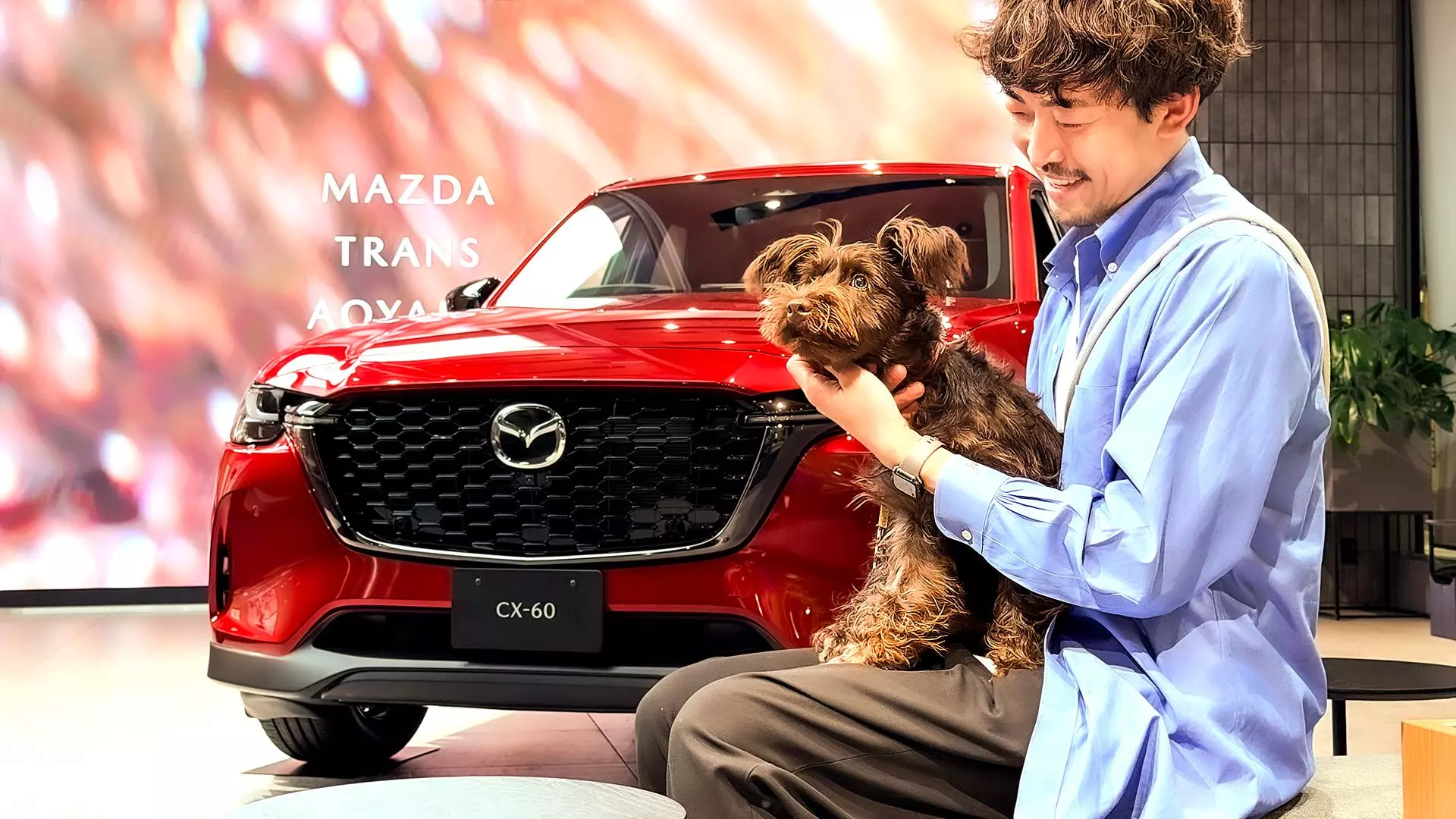 MAZDA TRANS AOYAMA」で週末限定ドッグカフェを開催！ 愛犬との