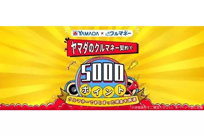 やま様おまとめ5点 ヤマダのクルマネーご契約者様限定】ヤマダ5000ポイント付与