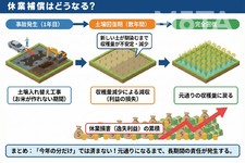 田んぼの休業補償