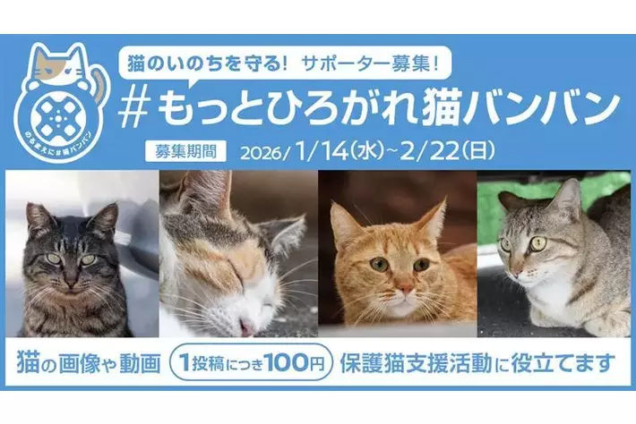 11年目の「のるまえに #猫バンバン」は猫のSNS投稿で地域の猫の支援を応援する新アクションを始動　「#もっとひろがれ猫バンバン」1月14日（水）より投稿募集スタート