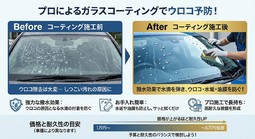 ウロコ取り
