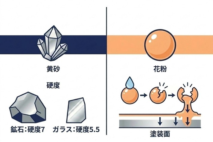 同じ「春の汚れ」でも、黄砂と花粉は正体も塗装へのダメージの仕組みもまったく違う