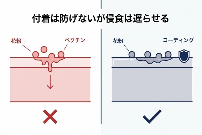 コーティングは花粉を防ぐ壁ではなく、塗装への侵食を遅らせる盾の役割