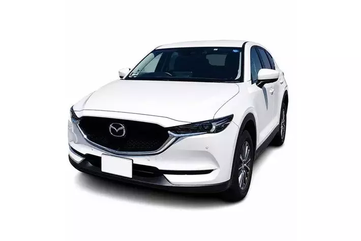 SUVで“しっかり眠れる”車中泊マットとは？累計販売数55,897枚のBears