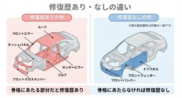 修復歴ありとなし