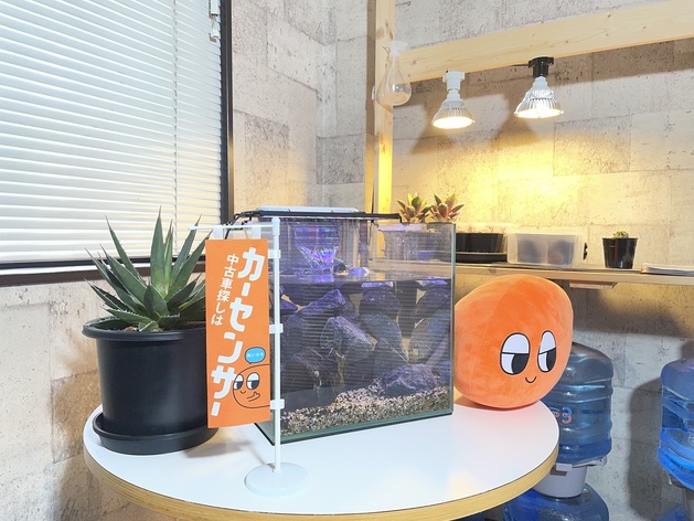 店舗画像
