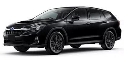 レヴォーグレイバック