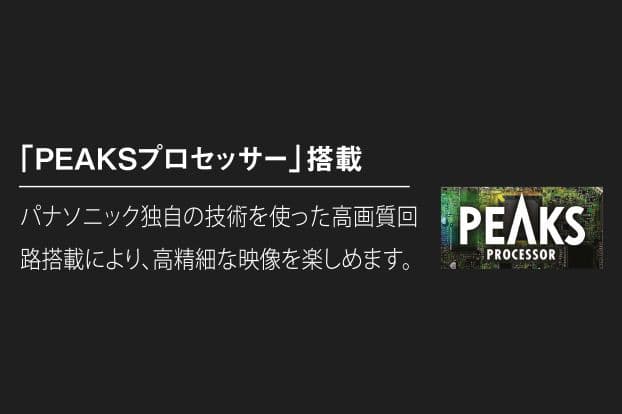 PEAKSプロセッサー