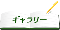 北大生インプレッション