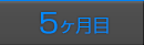 レポート5ヶ月目