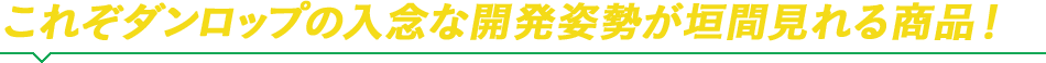 これぞダンロップの入念な開発姿勢が垣間見れる商品！