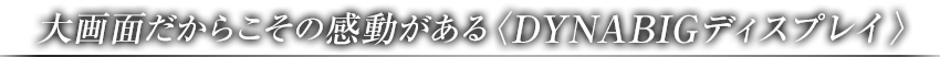 大画面だからこその感動がある 〈DYNABIGディスプレイ〉