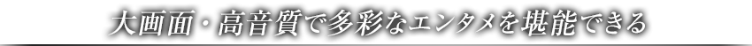 大画面・高音質で多彩なエンタメを堪能できる