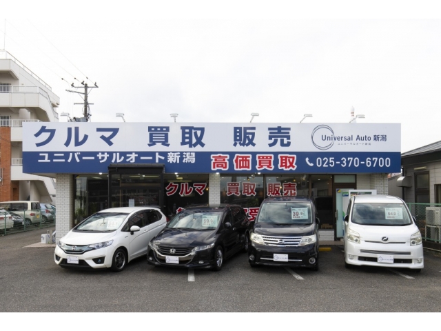 展示場にない車のご相談も大歓迎です！明るい店内で、車業界で販売･買取の実績を積んだスタッフが丁寧に対応させていただきます。