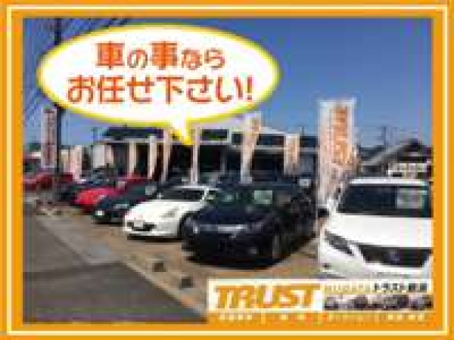 トラスト新潟 南店