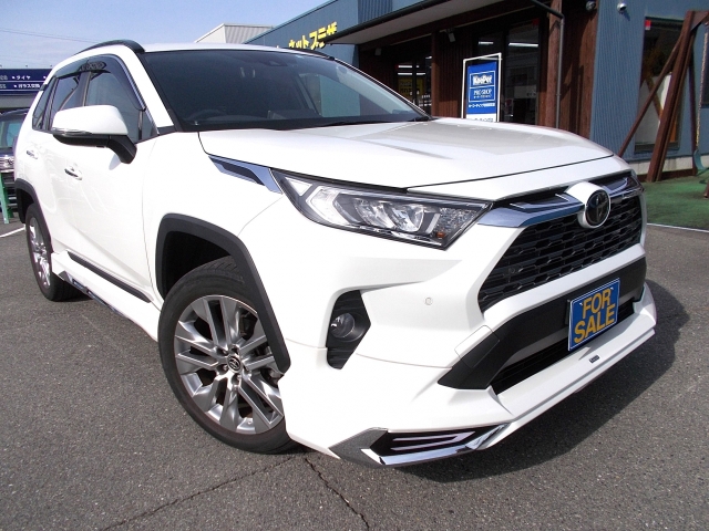 トヨタ RAV4   長野県