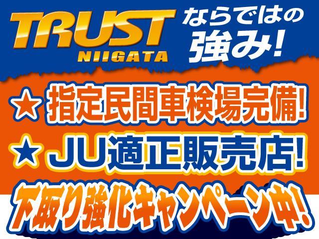 日産 エルグランド 2.5 250ハイウェイスター  新潟県の詳細画像 その5